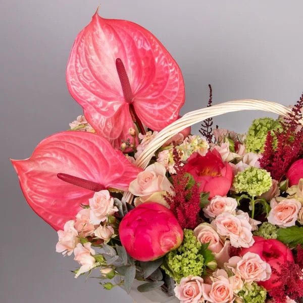 Anthurium Accent Basket