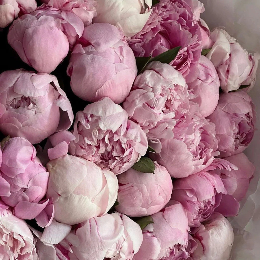 Luxury 50 Peony Bouquet