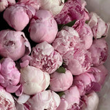 Luxury 50 Peony Bouquet