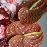 Autumn Chestnut Bloom