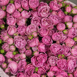 Grand Peony Spray Rose Bouquet — VIP Collection