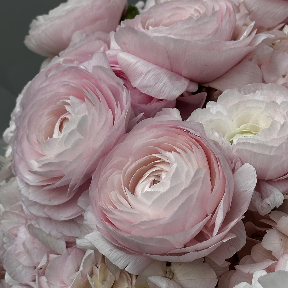 Bouquet “Marshmallow Cloud”