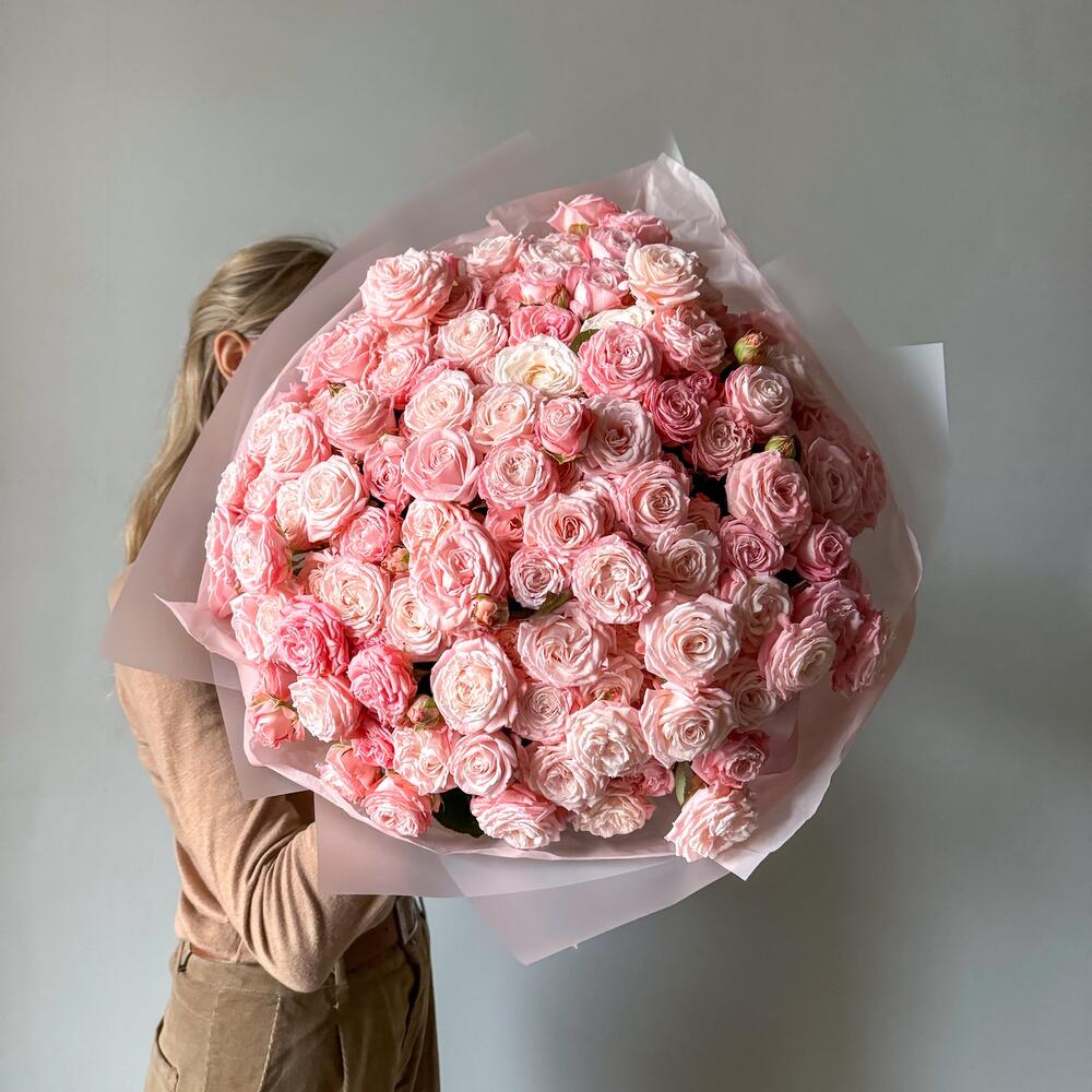 Blush Peony Rose