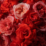 Velours d’Amour Rose Bouquet