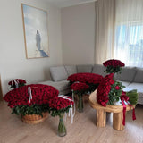 1000 Red Naomi Roses