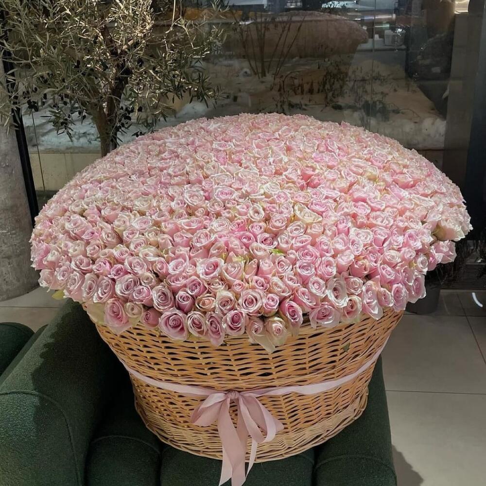 1000 Blush Roses